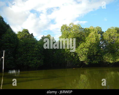 Cette image représente les districts fluviaux de Malolos, Bulakan, montrant les berges de Panasahan et San Nicolas. La région met en valeur les caractéristiques naturelles de la rivière et le paysage rural environnant. Banque D'Images