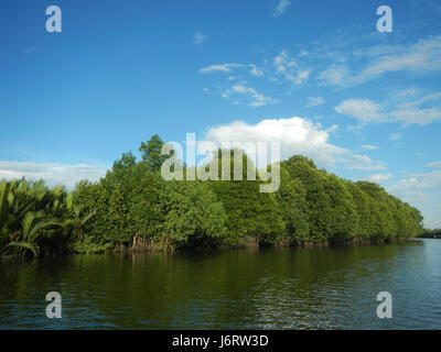 Cette photographie capture les districts fluviaux de Malolos et Bulakan, situés le long des rives du Panasahan et du San Nicolas aux Philippines. L'image reflète le paysage rural et les communautés fluviales de la région. Banque D'Images