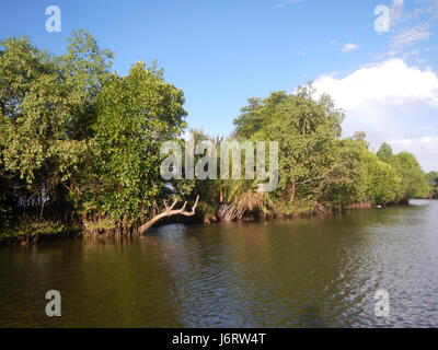 Cette image représente les districts fluviaux Malolos et Bulakan le long des rives du Panasahan et du San Nicolas. Ces régions des Philippines sont caractérisées par leurs riches ressources naturelles et le rôle important que jouent les rivières dans l'agriculture et les transports locaux. Banque D'Images