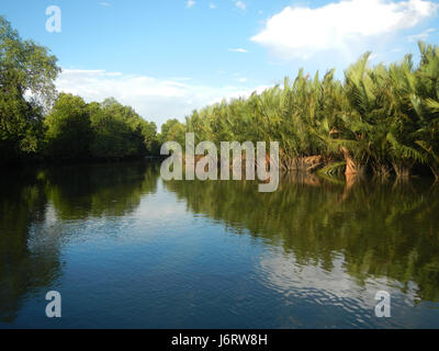 Cette image représente les districts fluviaux de Malolos, Bulakan, en particulier les zones de Panasahan et San Nicolas, le long des rives du fleuve, illustrant la géographie locale et l'infrastructure fluviale de la région. Banque D'Images