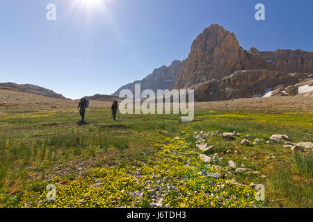 Randonneur sur champ vert avec de grands groupes dans les montagnes de la Turquie Banque D'Images