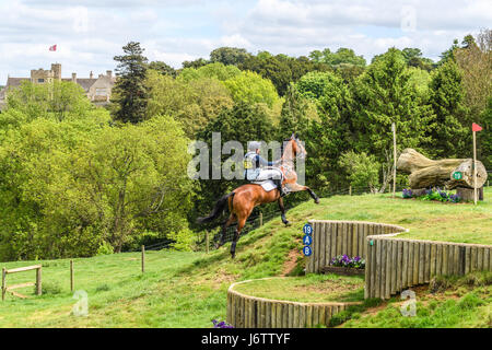 Le château de Rockingham, Corby, Royaume-Uni. 21 mai, 2017. Sarah Hedges et son cheval courir vers une montée d'Animagus log obstacle avec le château de Rockingham en arrière-plan sur une journée ensoleillée au cours de la phase de cross-country du Rockingham International Horse Trials dans le parc du château normand à Rockingham, Corby, l'Angleterre le 21 mai 2017. Credit : miscellany/Alamy Live News Banque D'Images