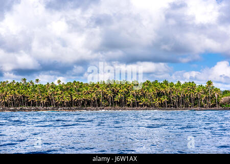 Palmiers tropicaux bordent la côte de la Grande Île d'Hawaï au cours d'une journée très colorés. Banque D'Images