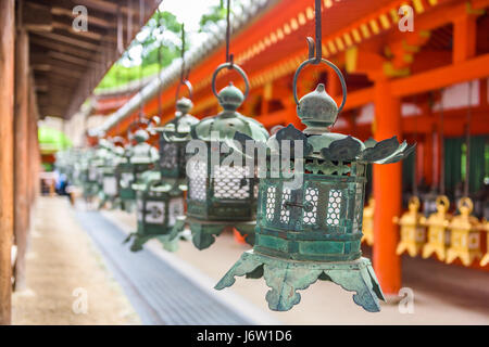 Nara, Japon à Kasuga Taisha Temple lanternes suspendues. Banque D'Images