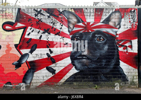 Le PUG dog avec bandana devant un drapeau japonais, de bombardiers Banque D'Images