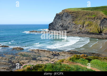 Un jour d'été à Crackington Haven près de Bude, sur la côte nord de Cornwall Banque D'Images