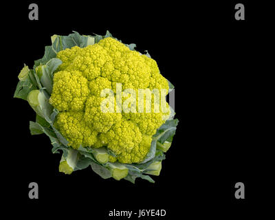 Chou-fleur vert. Légumes sain riche en vitamines, minéraux et micro nutriments. Banque D'Images