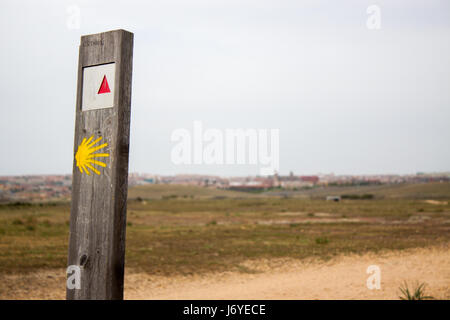 Saint James way à Salamanque Banque D'Images