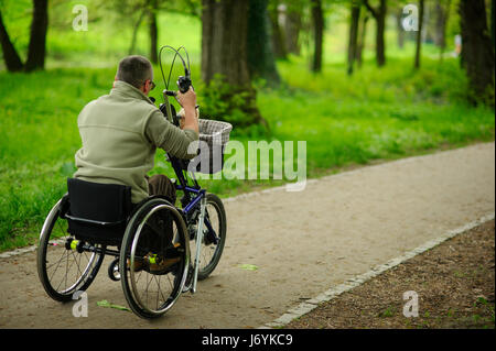 L'homme en fauteuil roulant sur la promenade dans le parc au printemps. Dans un porte-bagages un petit toutou. Vue d'un retour. Banque D'Images