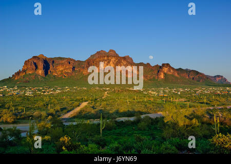 Apache Junction et Superstition Mountains, Arizona, États-Unis Banque D'Images