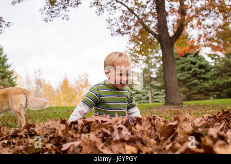 Garçon jouant dans les feuilles d'automne Banque D'Images