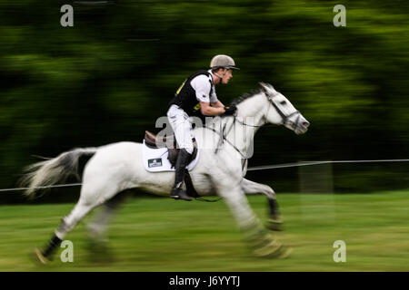 Angus Smales sur son cheval blanc un peu beaucoup galops le long d'une section droite en face d'un bois sur une journée ensoleillée au cours de la phase de cross-country de th Banque D'Images