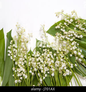 Lilly de la vallée des fleurs et des feuilles bouquet isolé sur un fond blanc. Selective focus Banque D'Images