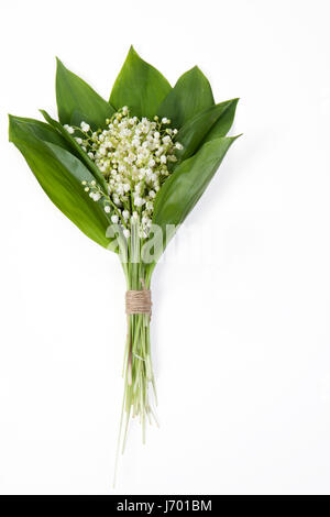 Lilly de la vallée des fleurs et des feuilles bouquet isolé sur un fond blanc. Selective focus Banque D'Images