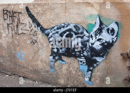 Le chat qui suivait en bleu humide pinte - un pochoir par Beastie, à Bristol Banque D'Images