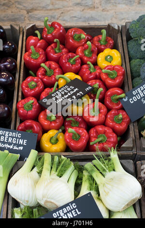 Des légumes bio en vente à Daylesford Organic farm shop festival d'été. Daylesford, Cotswolds, Gloucestershire, Angleterre Banque D'Images