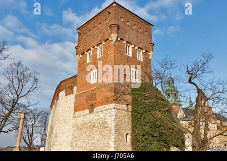 Voleurs Tour du château de Wawel à Cracovie, Pologne. C'est l'une des trois tours entièrement existantes au château de Wawel. Il a été construit au xive siècle dans la région de th Banque D'Images