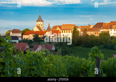 Derniers rayons de soleil sur la ville de Zellenberg le long de la Route des Vins, Alsace, Haut-Rhin, France Banque D'Images