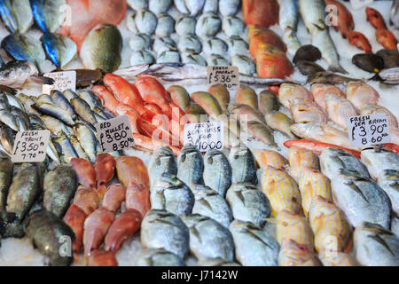 Le poisson frais sur la glace, exposés à la vente Banque D'Images