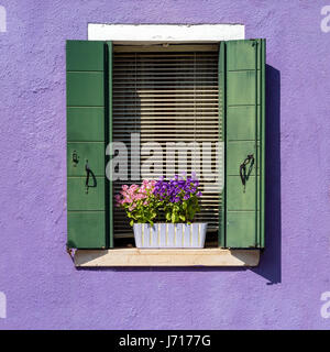 Fenêtre avec fleur sur fond violet Banque D'Images