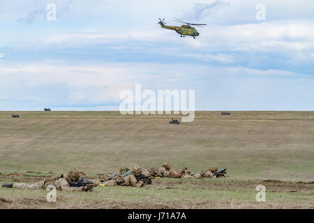 Les soldats britanniques courent pour une nouvelle position tout en étant défendus par des chars roumains et un hélicoptère d'attaque lors de l'exercice militaire de l'OTAN 'Wind Spring -15' au champ de tir de Smardan Banque D'Images