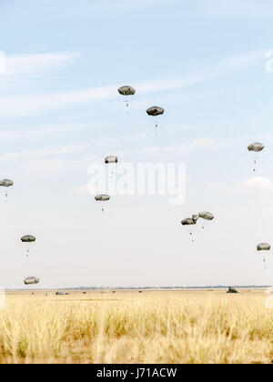 Une brigade multinationale de parachutistes participer à la 'Swift' réponse à l'entraînement à la zone d'entraînement de Galati en Roumanie, le 26 août 2015. Quelque 5 000 soldats de 11 nations participent à l'OTAN des opérations aéroportées multinationales simultanée à travers l'Allemagne, l'Italie, la Bulgarie et la Roumanie. Banque D'Images