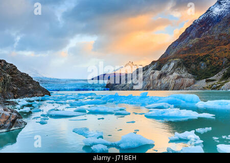 Parc National Torres del Paine, Chili. Glacier Grey. Banque D'Images