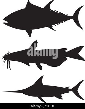 Ensemble de gros poissons différentes silhouettes isolated on white Illustration de Vecteur