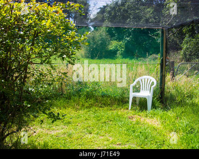 Chaise blanche en plastique à l'extérieur sous le filet dans Une zone Blueberry Bush Banque D'Images