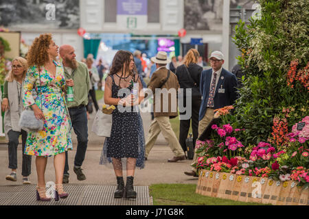 Londres, Royaume-Uni. 22 mai, 2017. Alex Kingston - le Chelsea Flower Show organisé par la Royal Horticultural Society avec M&G comme son sponsor principal pour la dernière année. Crédit : Guy Bell/Alamy Live News Banque D'Images