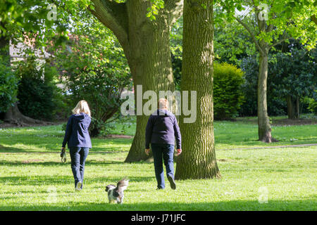 Northampton, Royaume-Uni. 22 mai, 2017. Météo. Lumineuse, ensoleillée en début de soirée, un couple en train de marcher leur chien portant un sac d'arachides à la nourrir les écureuils gris. Credit : Keith J Smith./Alamy Live News Banque D'Images