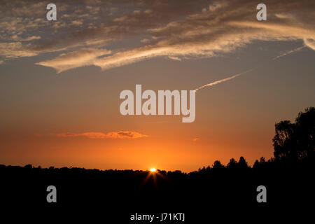 Cannock Chase, Staffordshire, Royaume-Uni. 22 mai, 2017. Météo France : Le soleil se couche sur Cannock Chase Forest, Staffordshire, après le premier jour d'une semaine de canicule sur le Royaume-Uni. Crédit : Richard Holmes/Alamy Live News Banque D'Images