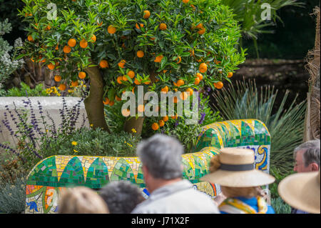 Le Royal Hospital Chelsea, London, UK. 23 mai, 2017. L'assemblée annuelle de la pinnacle calendriers horticoles, la RHS Chelsea Flower Show, ouverture des journée de la célèbre garden show avec participation à de grandes foules. Photo : Le Jardin d'Inspiration Viking Cruises, un jardin. Credit : Malcolm Park editorial/Alamy Live News. Banque D'Images