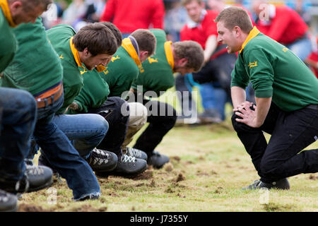 Fochabers, ÉCOSSE - 21 mai 2017 : un concours de souque à la corde lors de la Highland Games événement au château de Gordon près de Fochabers en Ecosse Banque D'Images