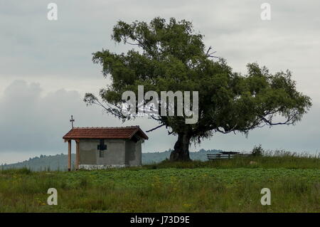 Beau paysage avec le vénérable printemps bouleau et vieille chapelle, située dans la montagne Plana, Bulgarie Banque D'Images