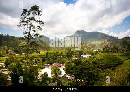 Villages de montagne rural parmi les plantations de thé dans les hautes terres du Sri Lanka. Vue depuis le train à Nuwara Eliya. Banque D'Images