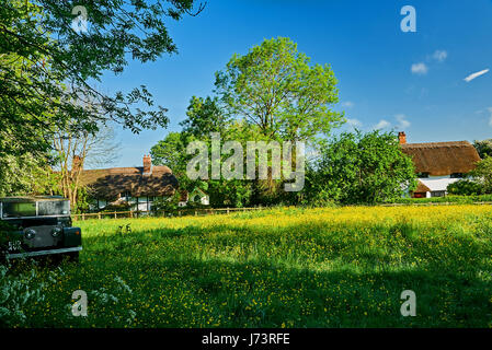 Chaumière aux murs blancs et un champ de renoncules à Shottery, Stratford Upon Avon Banque D'Images