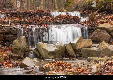 Natura 2000, la Pologne, l'Europe, l'eau qui coule sur les rochers en ruisseau de montagne Banque D'Images