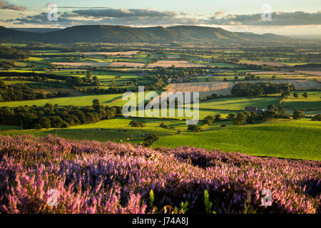 Le Cleveland Hills de Kildale Moor, Yorkshire du Nord Banque D'Images