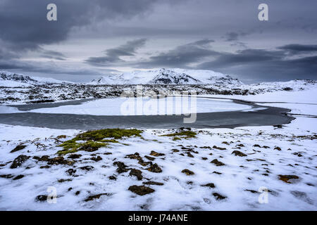 L'herbe verte de plus en plus parmi les rochers que l'hiver la neige fond dans les montagnes de la péninsule de Snæfellsnes. Banque D'Images