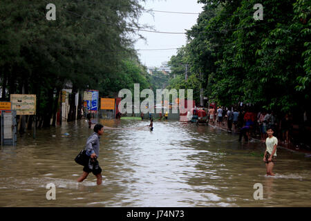 Les jeunes essaient de pêcher du poisson au filet sur une route principale après une averse de mousson torrentielles laissé de nombreux bas-fonds de la ville sous l'eau. Dhaka, Bangladesh. Banque D'Images