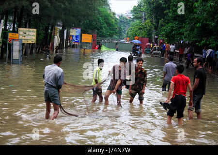 Les jeunes essaient de pêcher du poisson au filet sur une route principale après une averse de mousson torrentielles laissé de nombreux bas-fonds de la ville sous l'eau. Dhaka, Bangladesh. Banque D'Images