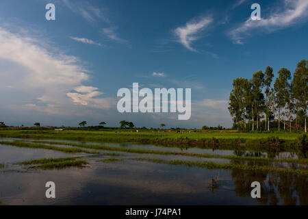 Beau paysage de rivière Tetulia Dohouk à. Panchagarh, au Bangladesh. Banque D'Images