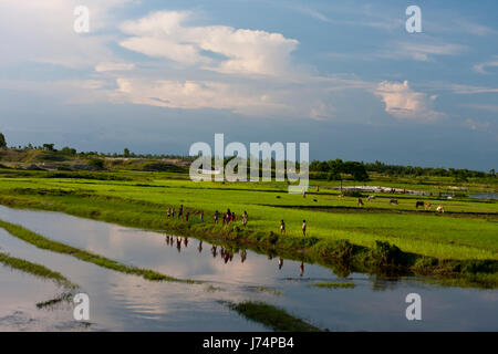 Beau paysage de rivière Tetulia Dohouk à. Panchagarh, au Bangladesh. Banque D'Images