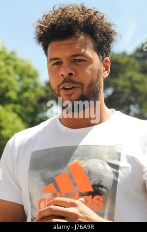 Portraits de joueur de tennis français Jo-Wilfried Tsonga Banque D'Images