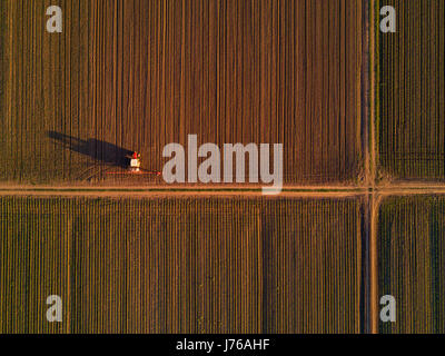 Tracteur agricole avec pulvérisateur dans le maïs cultivé, champ de maïs de la campagne Vue de dessus pov bourdon Banque D'Images