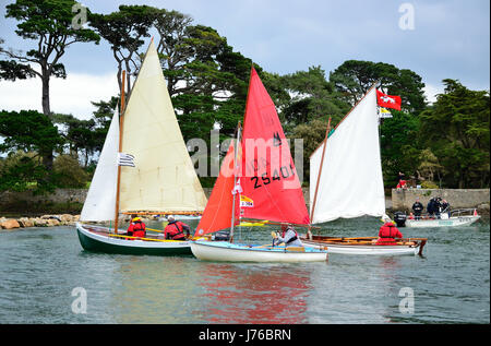 Voiliers (voile-avirons) en face de l'île de Berder, pendant les "Semaine du golfe du Morbihan' (Baden, Morbihan, Bretagne, France). Banque D'Images