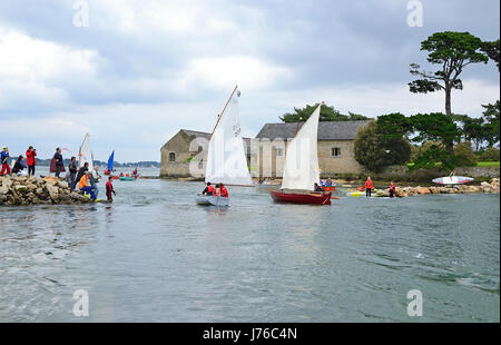 Voiliers, passage de l'île de Berder, ''La Semaine du golfe du Morbihan (Morbihan, Bretagne, France). Banque D'Images