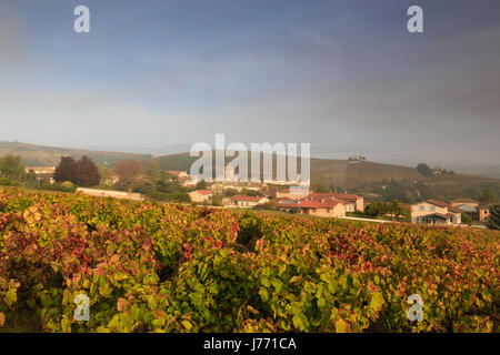 France, Rhône, Beaujolais, salles-Arbuissonnas-en-Beaujolais, village et vignobles en automne Banque D'Images