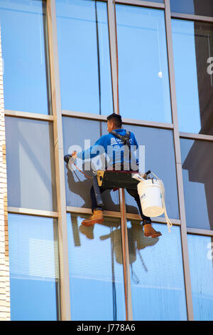 Nettoyage homme windows à l'aide de techniques de corde en rappel Washington DC USA Banque D'Images